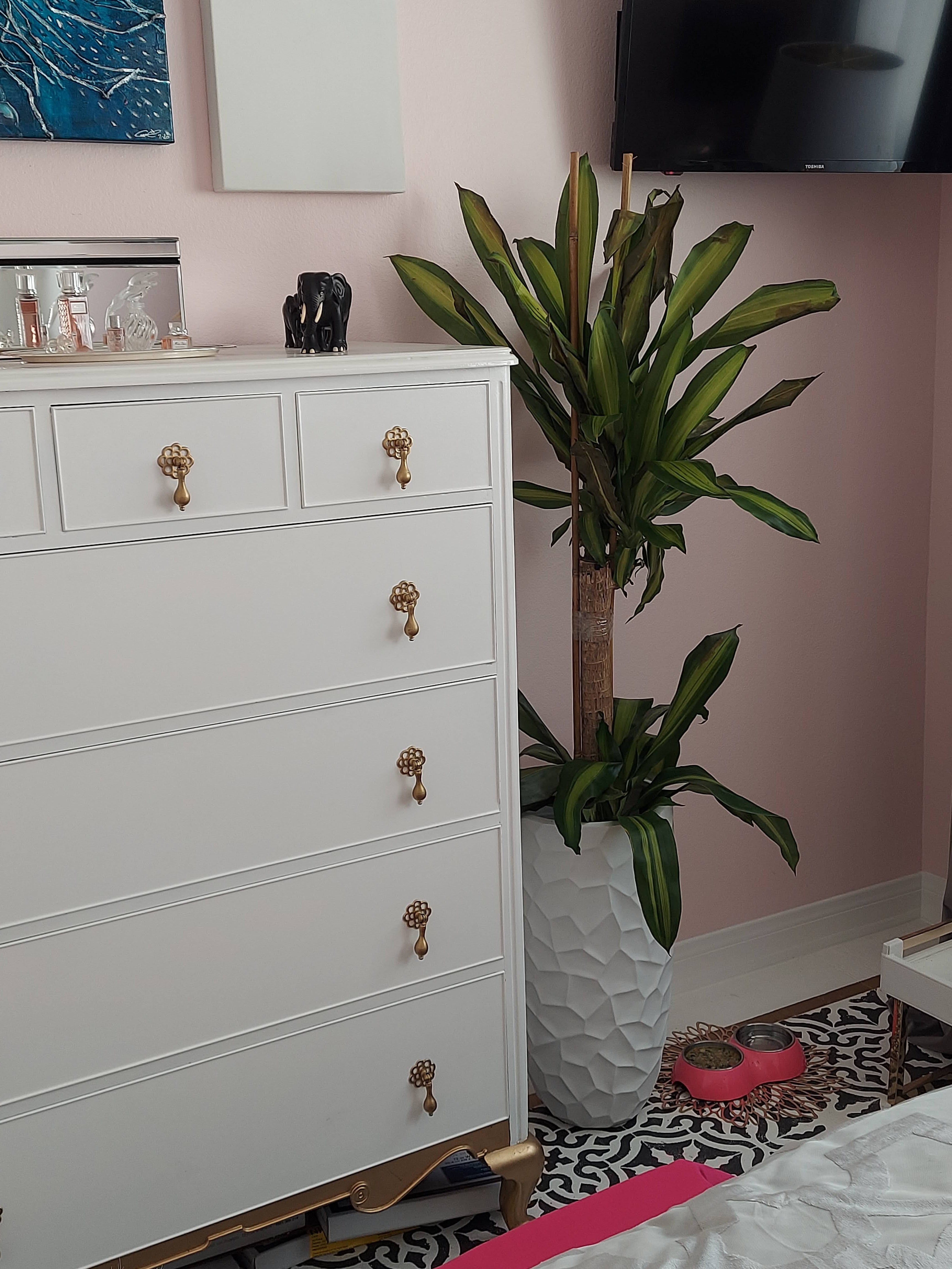 Bedroom - tufted headboard and room detail